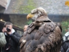 AC Unity Press Event (7)