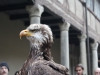 AC Unity Press Event (8)