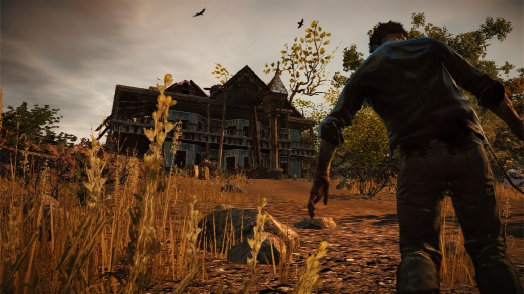 farm_zed_2 (1)