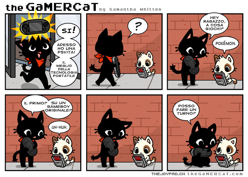 2013-02-24-gamercat_27