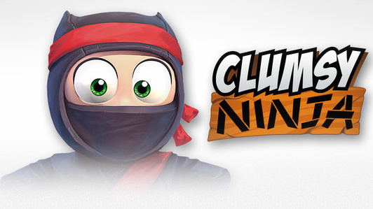 ninja 1