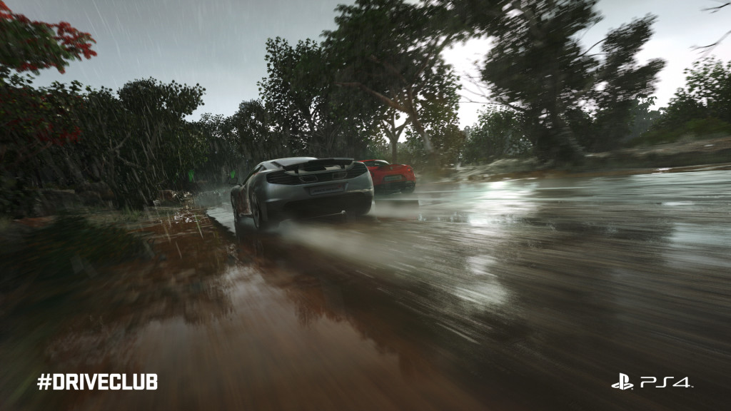 driveclub (4)