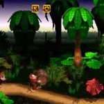 Donkey Kong Country