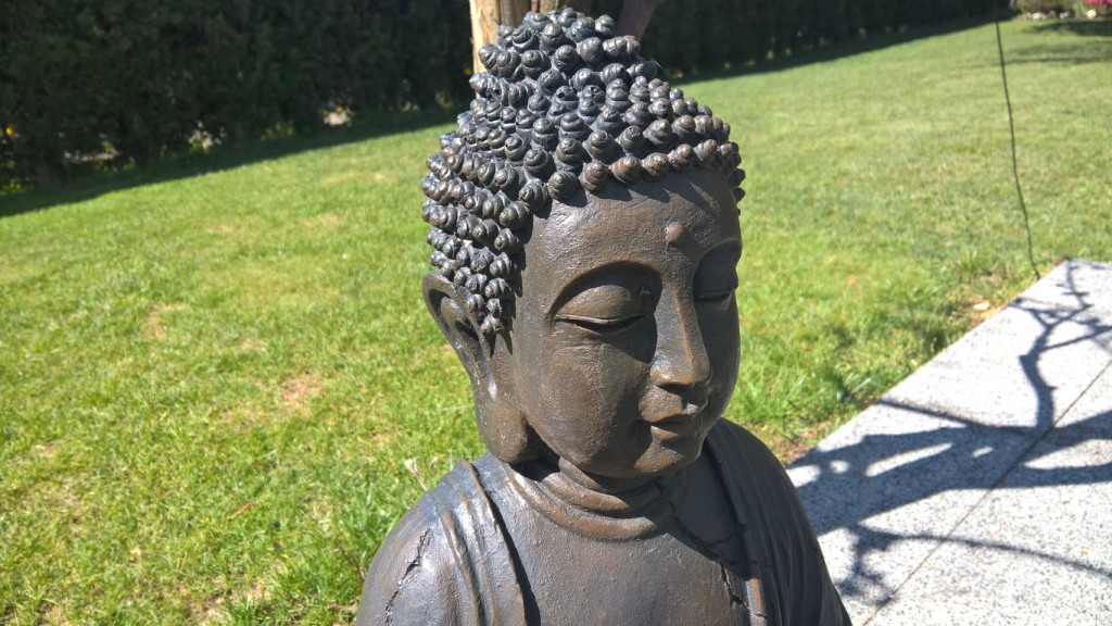 Il solito Budda nel mio giardino per la prova fotografica