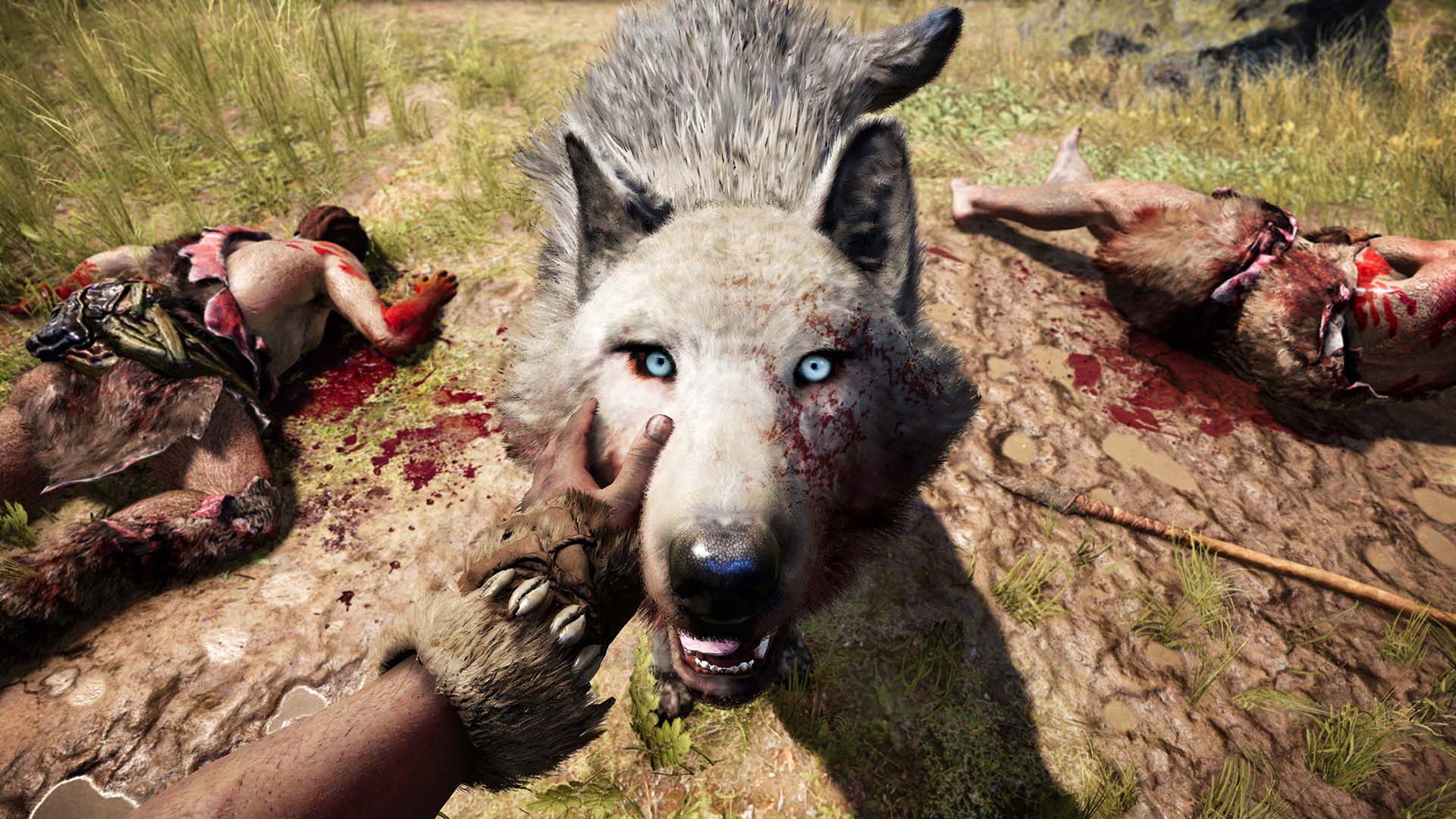 Pet_Wolf_GOLD_1080p_1449171017.0