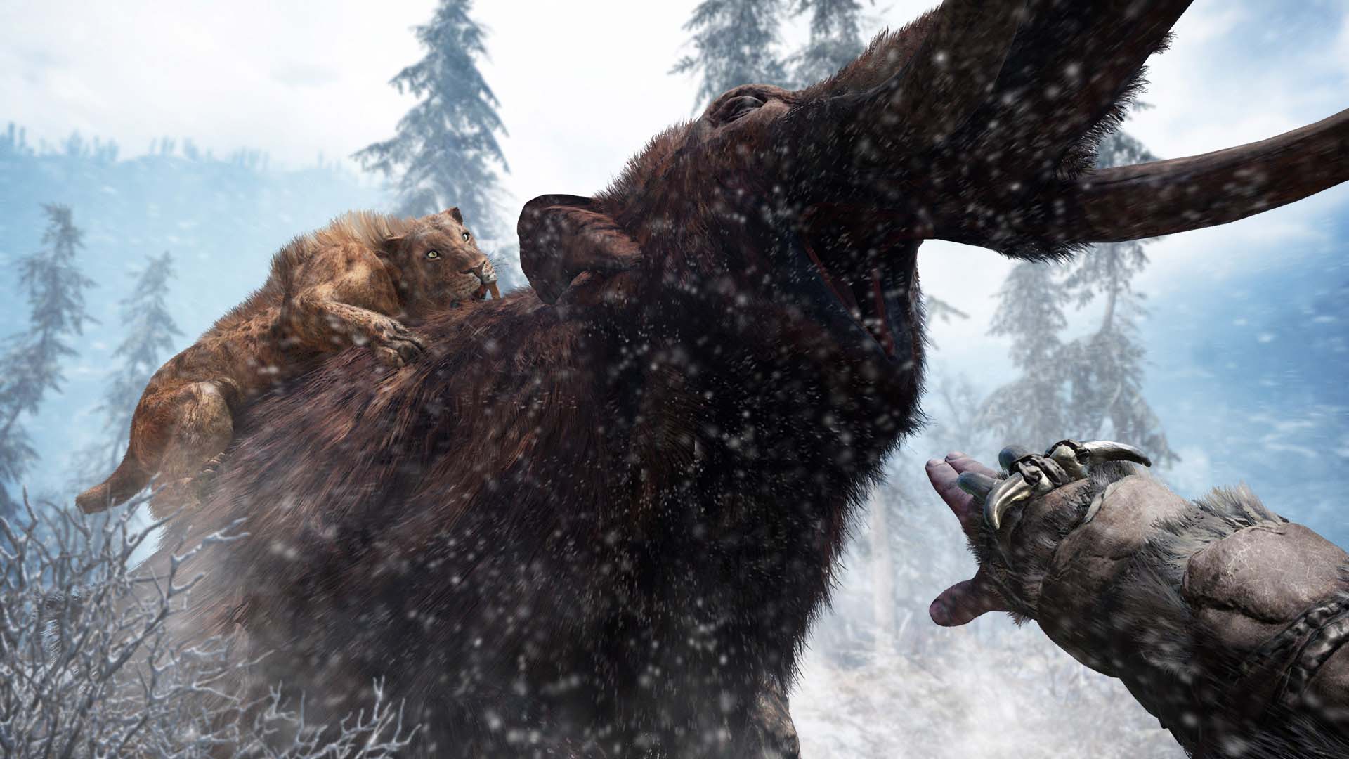 SBTiger_VS_Mammoth_GOLD_1080p_1449171019.0