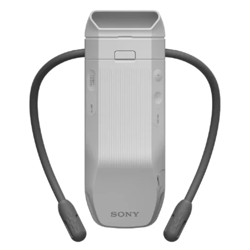 Sony Reon Pocket Pro