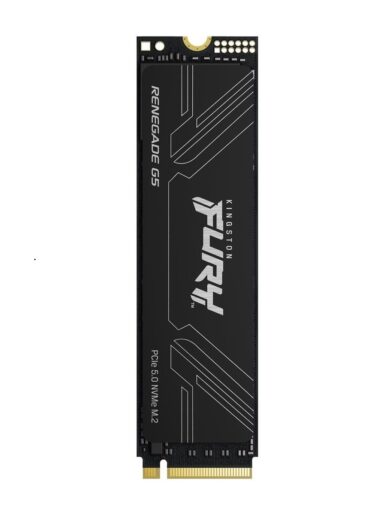 Kingston Renegade G5 SSD