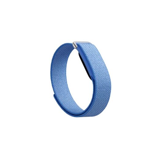 Google Fitbit Luft